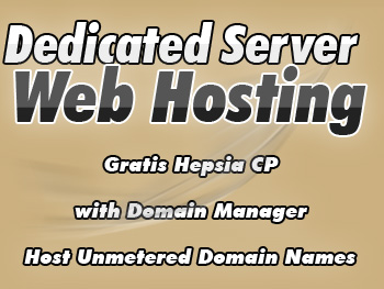 Economical dedicated server hosting package
